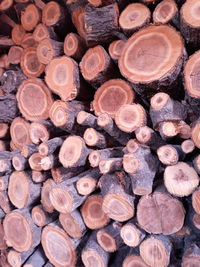 Full frame shot of logs in forest