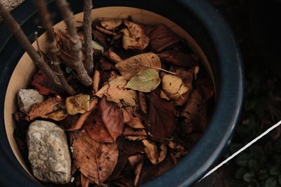 High angle view of bread in bowl