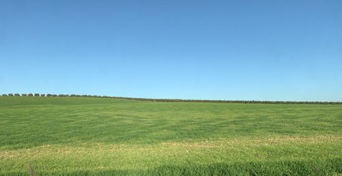 Scenic view of landscape against clear blue sky