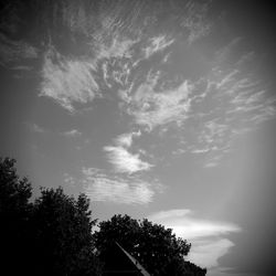 Low angle view of trees against sky