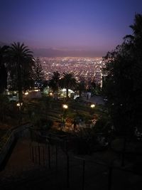 High angle view of illuminated street amidst trees and buildings at night