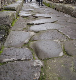 Narrow footpath along plants