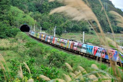 Train on railroad track