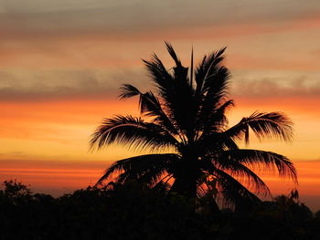 Silhouette palm tree against romantic sky at sunset