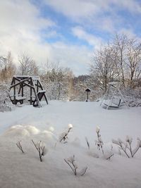 Bare trees on snow covered field