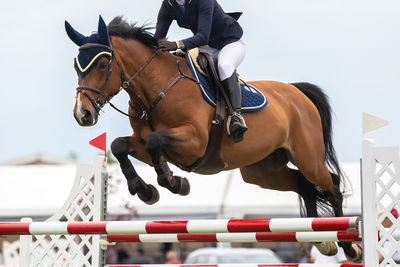 Man riding horse