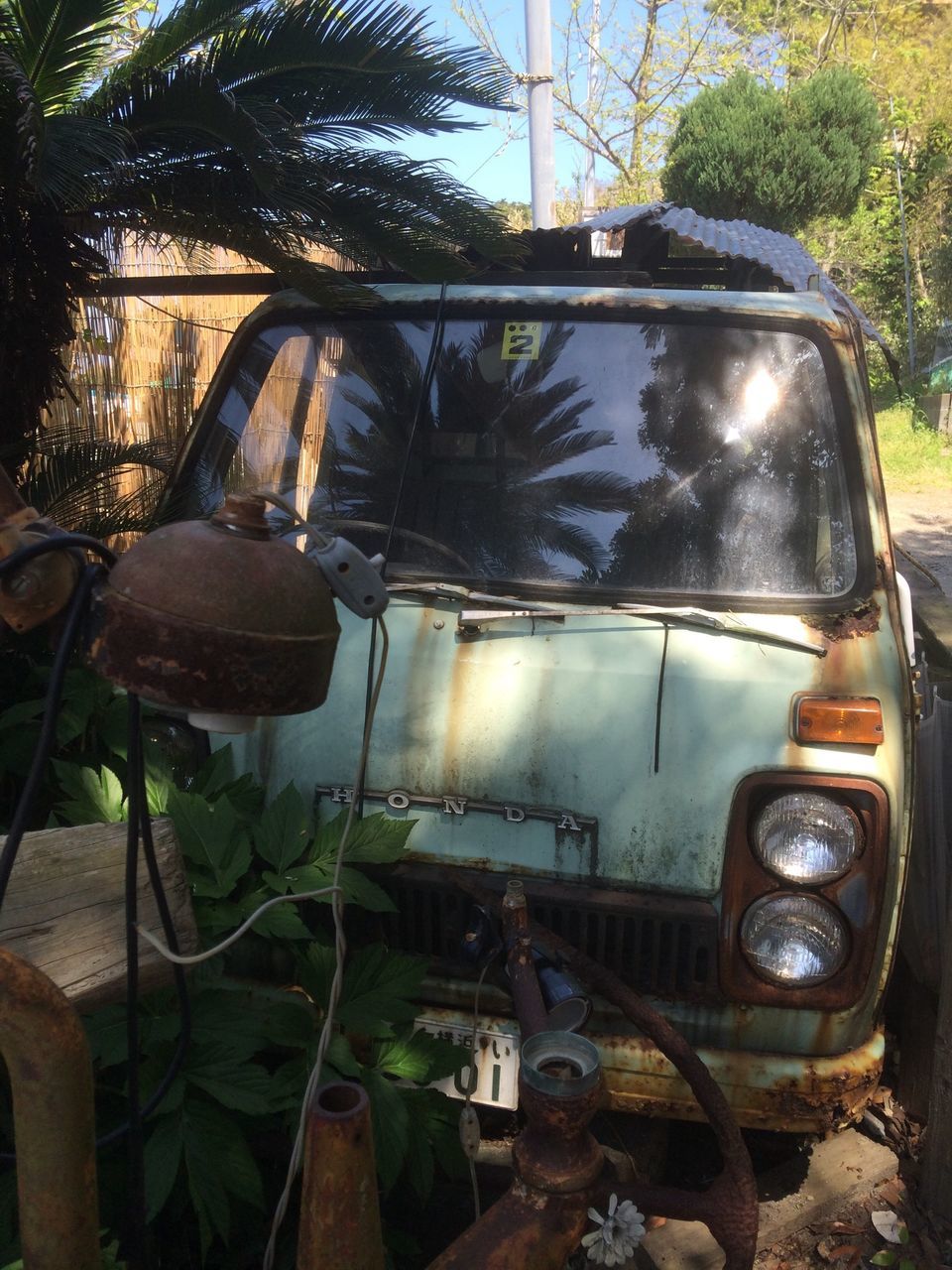 tree, land vehicle, car, mode of transport, transportation, plant, sunlight, front or back yard, growth, old-fashioned, reflection, no people, outdoors, old, day, abandoned, sky, close-up, potted plant, nature