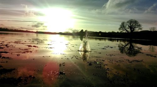 Scenic view of lake against sky during sunset