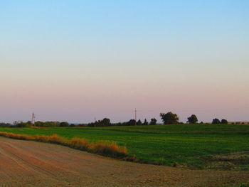 Scenic view of field against clear sky during sunset