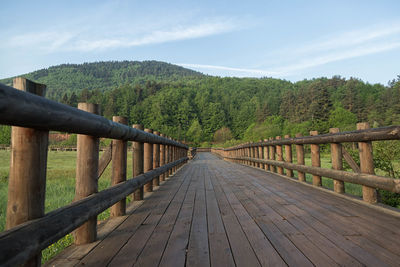 Footbridge leading towards mountain