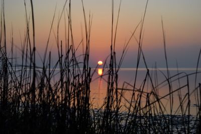 Scenic view of sunset over sea