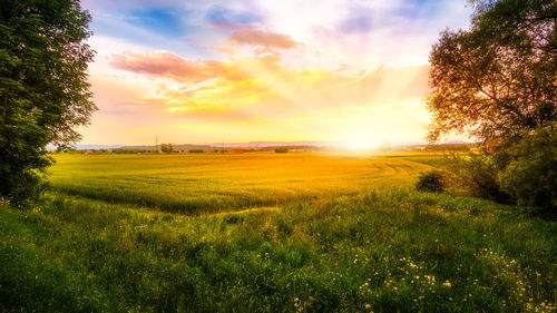 Scenic view of field against sky during sunset