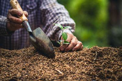 Man working on plant