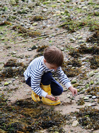 High angle view of boy on the shore collectiong stones