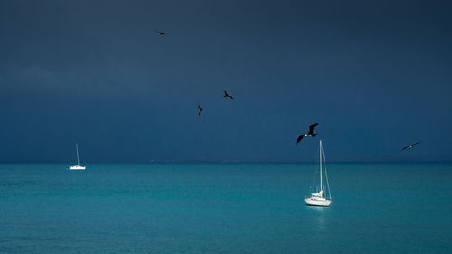 Sailboats sailing in sea against sky