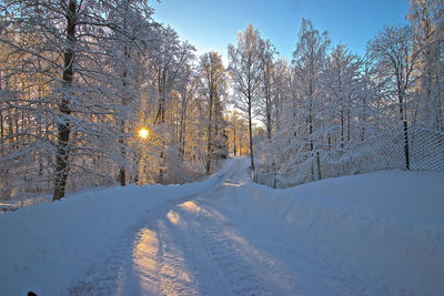 Snow covered land and trees against sky