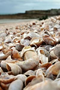 Close-up of pebbles on beach