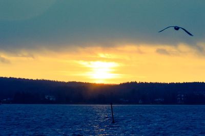 Scenic view of sea at sunset