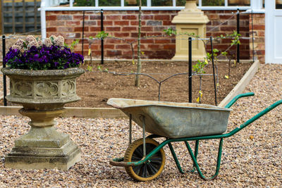 Potted plants in front of building