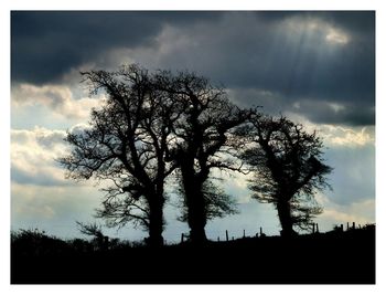 Silhouette of trees against cloudy sky