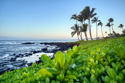 Scenic view of sea against clear sky