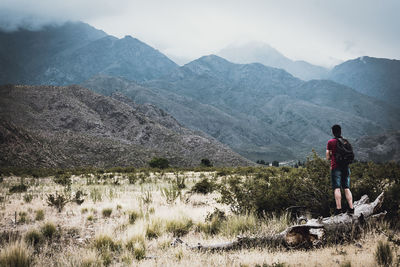 Rear view of man looking at mountains