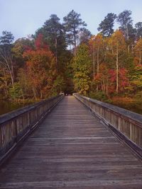 Footbridge amidst trees in forest during autumn