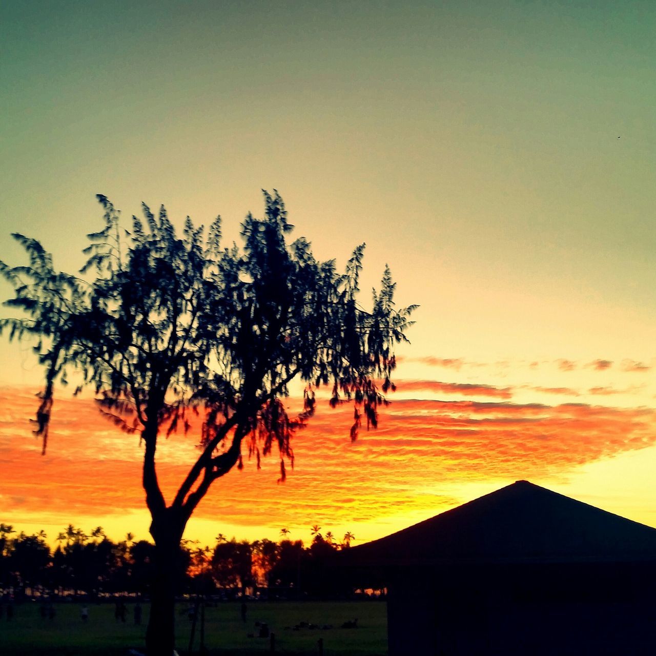 sunset, silhouette, tree, orange color, scenics, beauty in nature, tranquil scene, built structure, sky, tranquility, architecture, building exterior, nature, idyllic, house, growth, landscape, outdoors, branch, no people