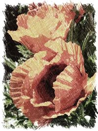 Close-up of abstract background