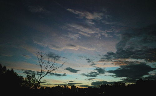 Low angle view of silhouette trees against sky at sunset