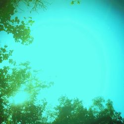 Low angle view of trees against clear blue sky