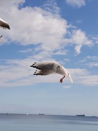 Seagull flying over sea against sky