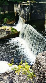 Stream flowing through rocks in forest