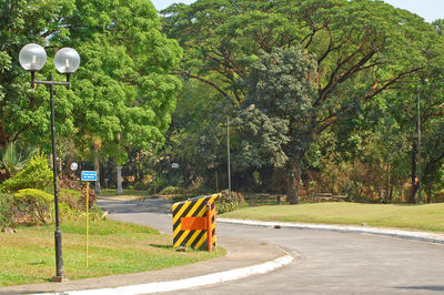 View of street amidst trees and plants in city