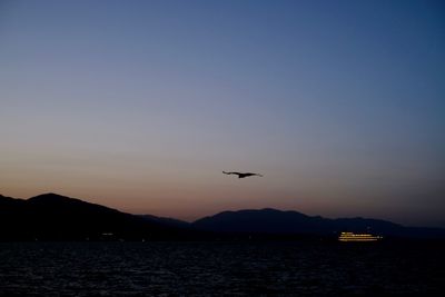 Silhouette birds flying over sea against sky