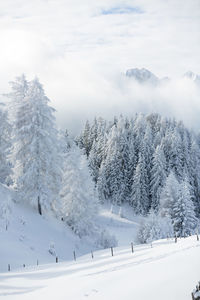 Winter in mountains. an amazing winter scenery with a lot of snow