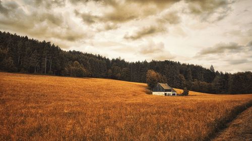 Scenic view of field against cloudy sky