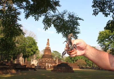 Cropped hand holding scorpion against historic temple
