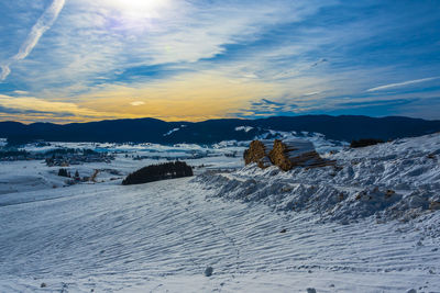 Tree trunks stacked under the snow in asiago, vicenza, italy