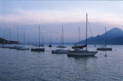 Sailboats moored in marina