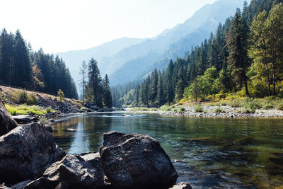 Scenic view of lake by trees against sky