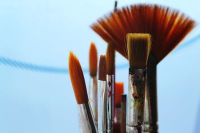 Close-up of paintbrushes against sky