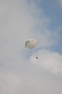 Low angle view of bird flying in sky