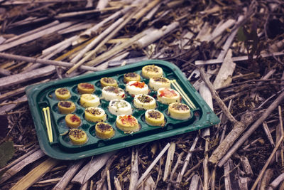 Japanese sushi in box discarded