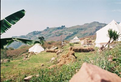 Houses on field by mountains against clear sky