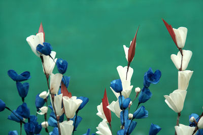 Close-up of blue flowering plant