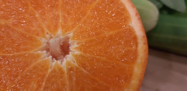 High angle view of orange slices