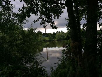 Reflection of trees in lake against sky