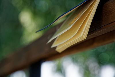 Close-up of notebook on plant