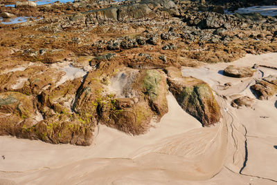 High angle view of rocks on beach